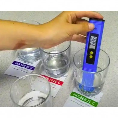 BUFFER PH 6.86