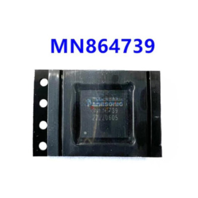 MN864739