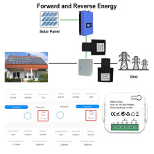 WIFI DUAL CHANNEL SMART METER