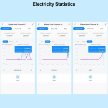 WIFI DUAL CHANNEL SMART METER