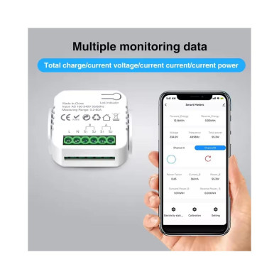 WIFI DUAL CHANNEL SMART METER