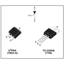 TYN1025