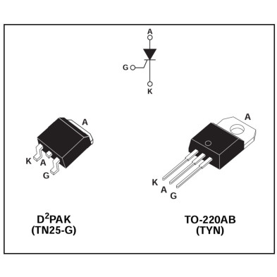 TYN1025