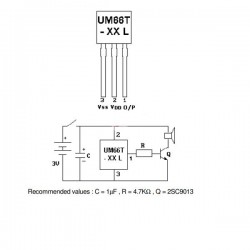 UM66T
