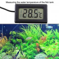TERMOMETRO DISPLAY